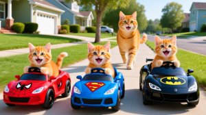 Мама-кошка подстригает шерсть на ферме и делает тигровую шапку для котят дома🐾🎩🐯