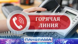 ⚡️ В ДНР заработала круглосуточная горячая линия!
