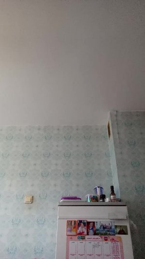 мою кролика!