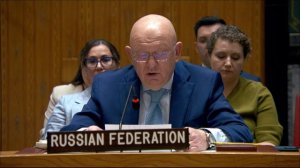 Statement by Vassily Nebenzia at UNSC Briefing on Syrian Chemical File