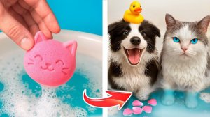 Собака vs кошка! Как ухаживать за домашними питомцами!