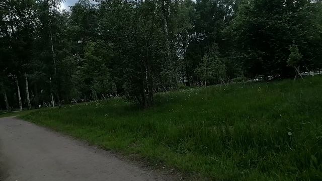 Парки