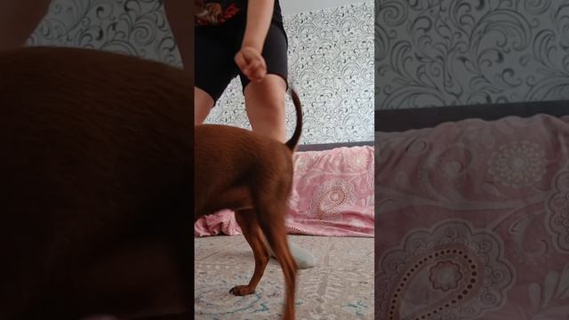 тренирую Моля смотреть онлайн