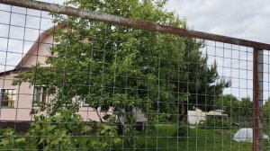 Помните такую песню? Я вдруг вспомнила.Рыбалка в деревне.
