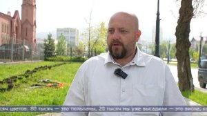03.06.2026 Проспект Победы в Южно-Сахалинске украсили кустами сирени и гортензии