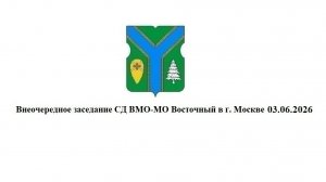 Внеочередное заседание СД ВМО-МО Восточный в г. Москве 03.06.2026