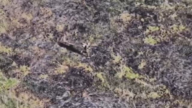 Каждая открытка это страшно и это нормально испытывать страх. смотреть онлайн