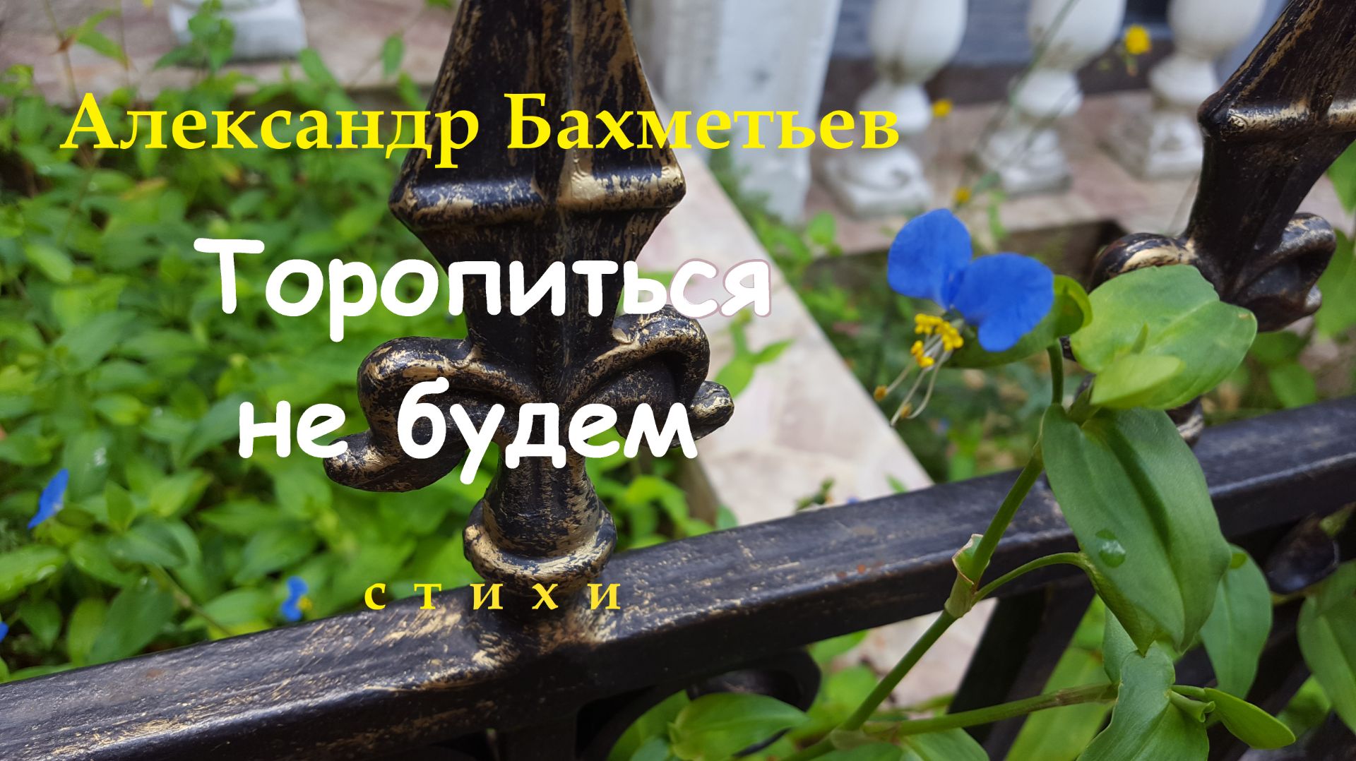 ТОРОПИТЬСЯ НЕ БУДЕМ. Стихи. Читает автор – АЛЕКСАНДР БАХМЕТЬЕВ