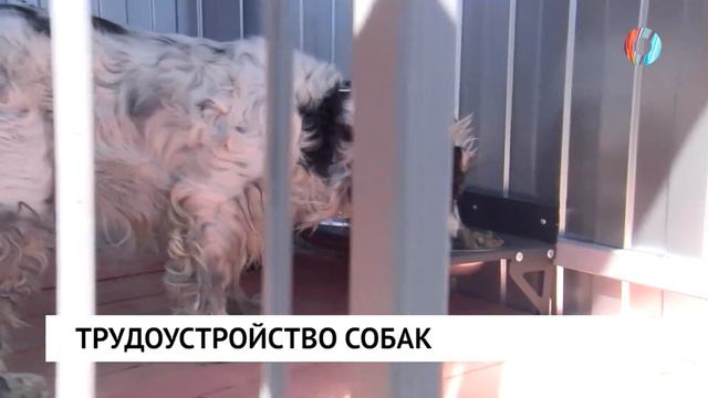 Новости от 04.06.2026 смотреть онлайн