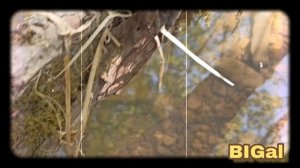 Крашенные заплатки нивы