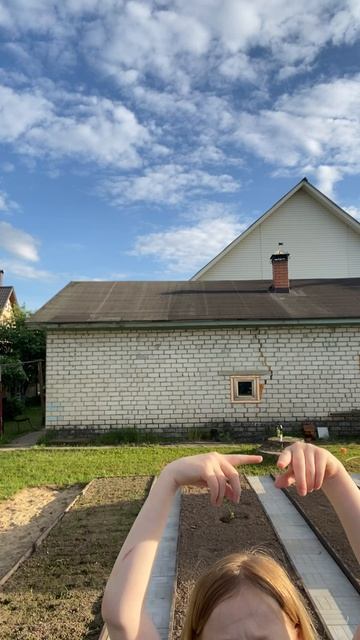Ров:ты 31 мая в 00:00 смотреть онлайн