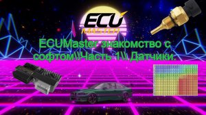 ECUMaster знакомство с софтом\\Часть 1\\ Датчики.