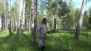 Гриб. Косули. Цветы. Поездка с пользой.