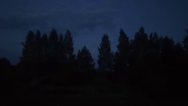 Влёсно ТВ. Лягушачья оратория 03.06.26.mp4