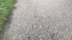 Один из дней города Евпатории | 17 декабря 2021 год | Крым ХАН БАТОН XAH 6ATOH | VID_20211217_150550