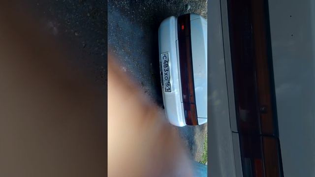 1000357493.mp4 смотреть онлайн