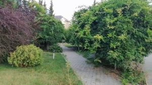Ольгинка, Туапсе . Территория отеля Гамма. Краткий обзор.