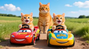Мама-кошка подстригает шерсть на ферме и делает тигровую шапку для котят дома🐾🎩🐯
