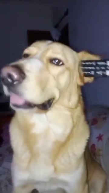 Кайф, да? Угу!