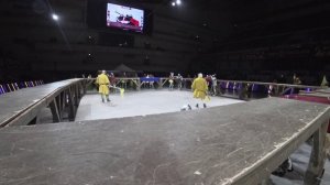 II Этап Чемпионата Меч России 2026. Бой 27. Вивус Ферро - Медвежья Пядь