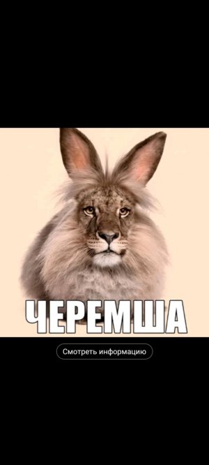 Ничего