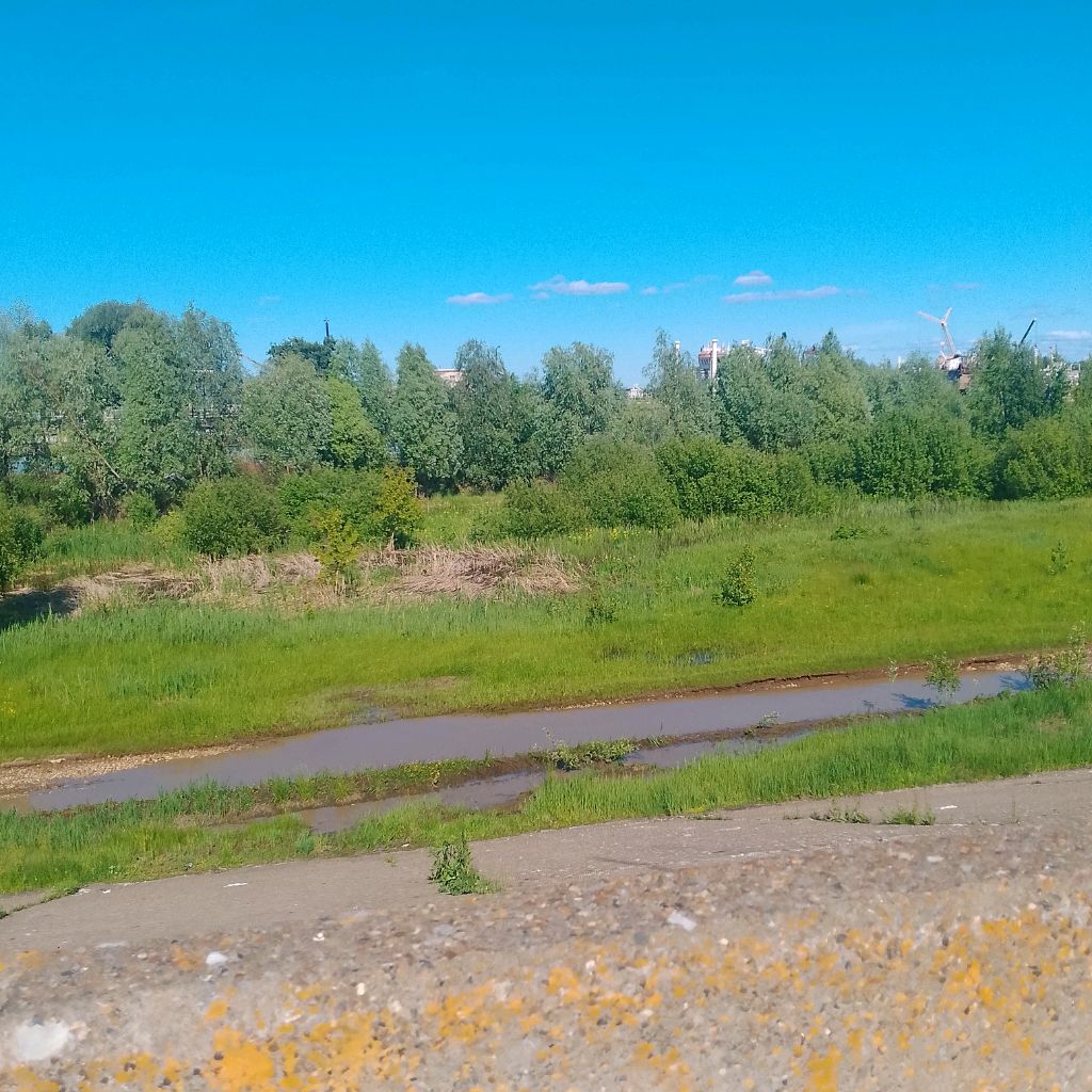 влог смотреть онлайн