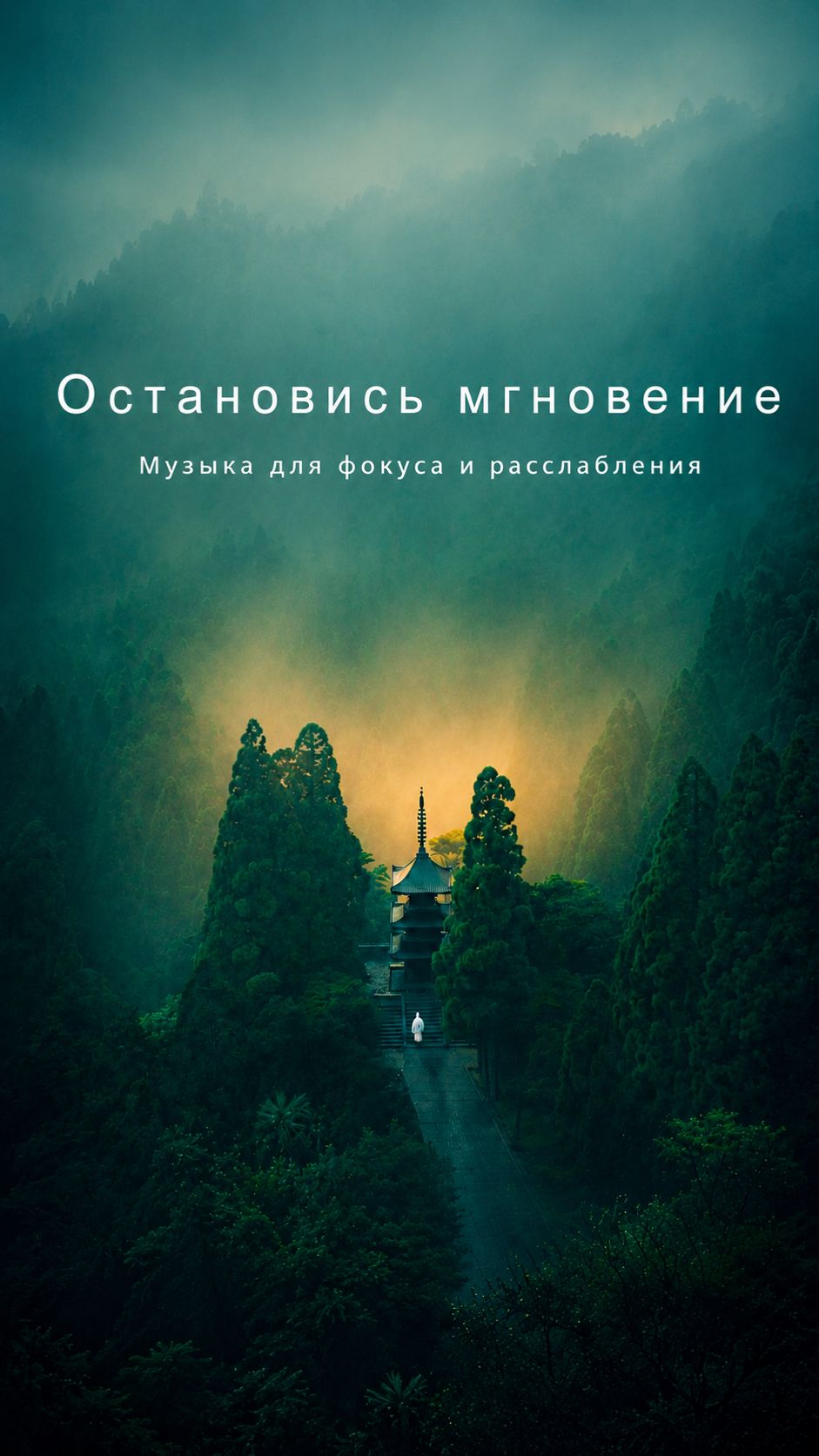 ✧ Звуки вечернего леса и Ambient-музыка для сна, работы, учебы  и расслабления