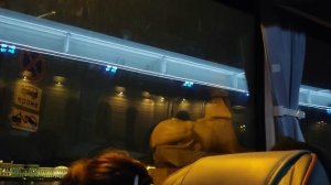 31.05.2026..🩵«Экскурсия по городу Санкт Петербург»!.. Натали!