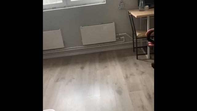 Мой фильм обзор дома
