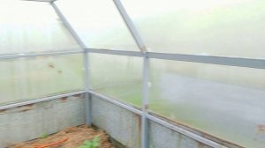 Моё хобби .   Вот и время для ухода за любимыми саженцами