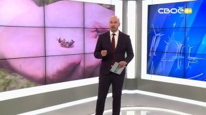 Новости на Своём от 5 июня 2026 г. 8:30