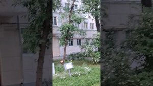 Статуи во дворе. У мужчин завышенные требования.