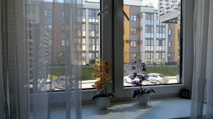 Не надо желать смерти другим