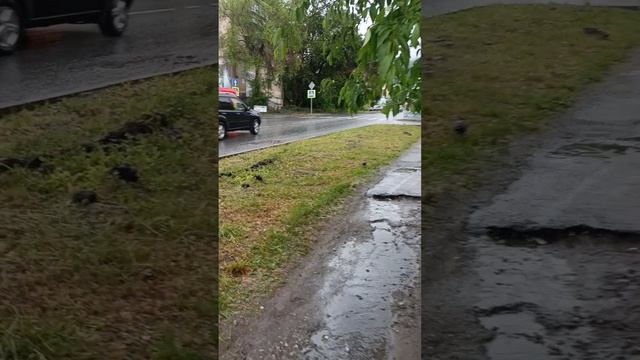 Лето в дождях
