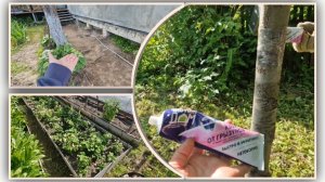 Ловчий пояс работает 👍🐜  Откопал сокровище. Что сделано за день и планы на будущее.