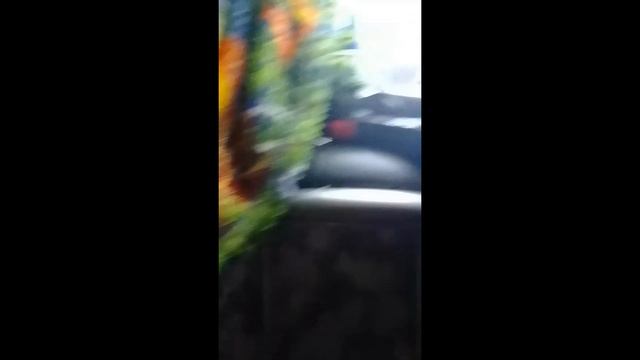 показываем шалаш смотреть онлайн