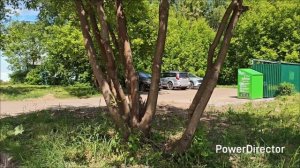 купила рюкзак,выгулила новый образ#влог#дом#покупки#магазинфамилия#мода#стиль