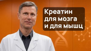 Пить ли креатин