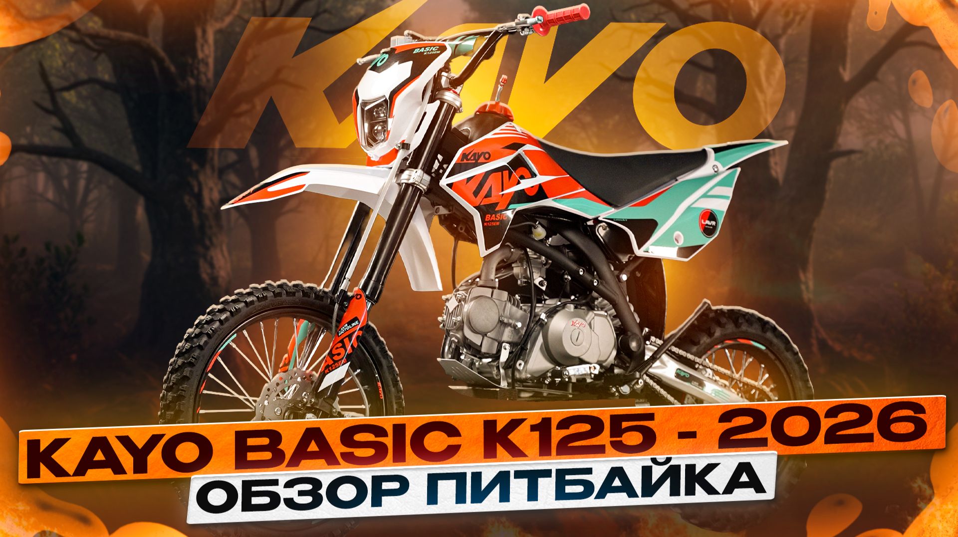 ОБЗОР KAYO BASIC K125 2026. ЧТО НОВОГО В ПИТБАЙКЕ? / Kayo Russia