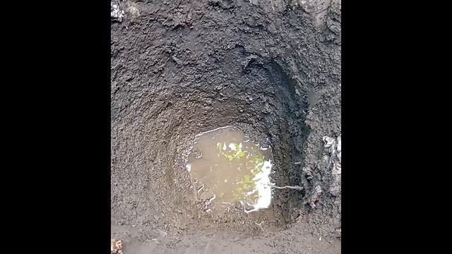 Я люблю всех животных😇 смотреть онлайн
