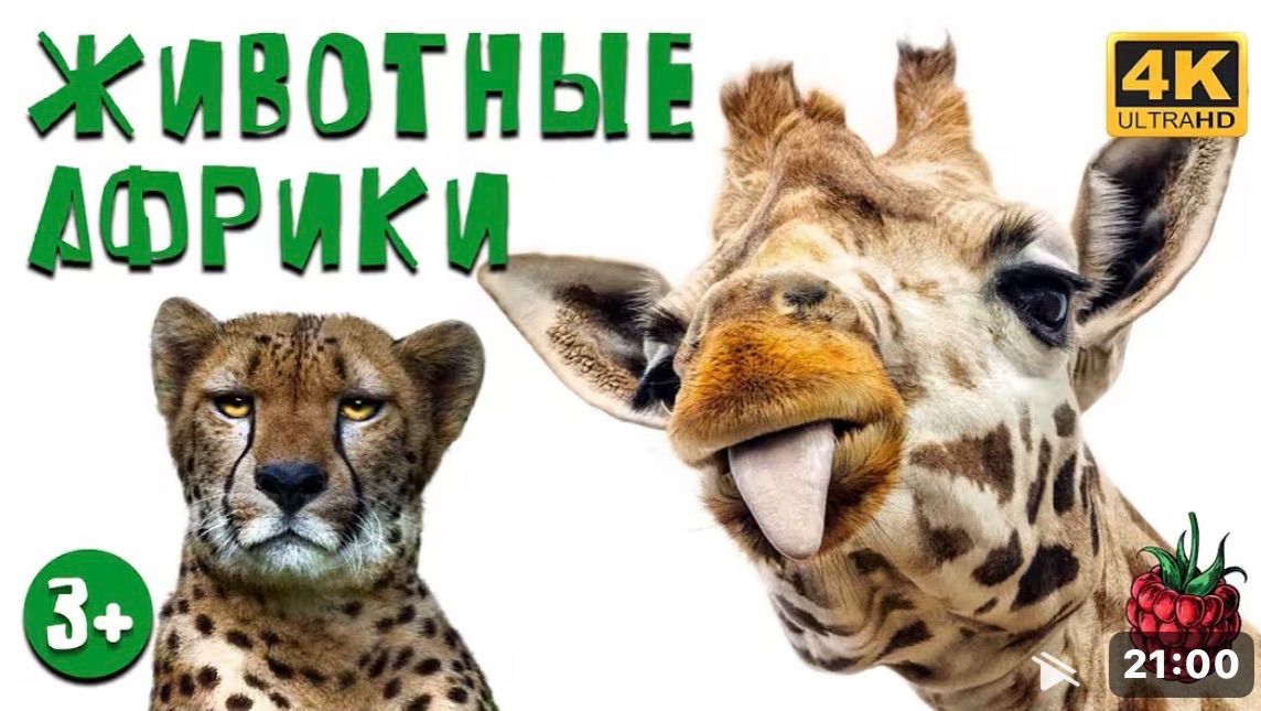 Животные Африки смотреть онлайн