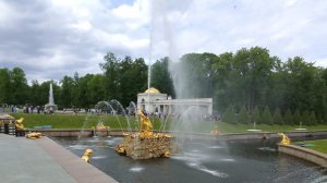 03 июня 2026 года. Петергоф . Фонтаны
