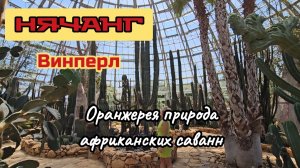 Африканские саванны, оранжиреи на Винперле, Нячанг