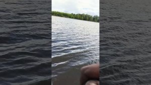Проба пера. Весенний  лещ и нечестная победа над трофеем