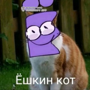 первая трансляция