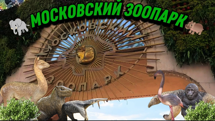 🐘🦩ЖИВОТНЫЕ МОСКОВСКОГО ЗООПАРКА🦭🦩 | МОСКОВСКИЙ ЗООПАРК | ЖИВОТНЫЕ | #Невероятный✔️ смотреть онлайн