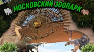 🐘🦩ЖИВОТНЫЕ МОСКОВСКОГО ЗООПАРКА🦭🦩 | МОСКОВСКИЙ ЗООПАРК | ЖИВОТНЫЕ | #Невероятный✔️
