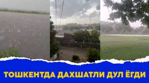 Тошкентда дахшатли дул ёгди