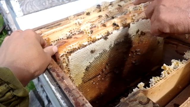 Могорь смотреть онлайн