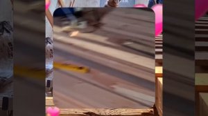 1000060963.mp4 (Собака наблюдает за укладкой пола из фанеры на 2-ом этаже в доме А-фрейм)